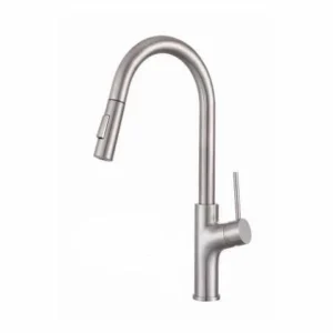 Hindware Rodrigo Pulldown Kitchen Mixer